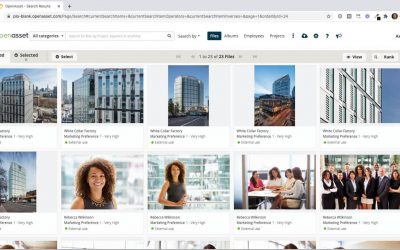 OpenAsset: Digital Asset Management